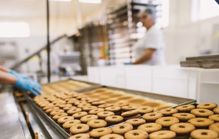 Jak rozpoznać, że maszyny cukiernicze kuszą parametrami, ale w praktyce nie odpowiadają realnej pracy?